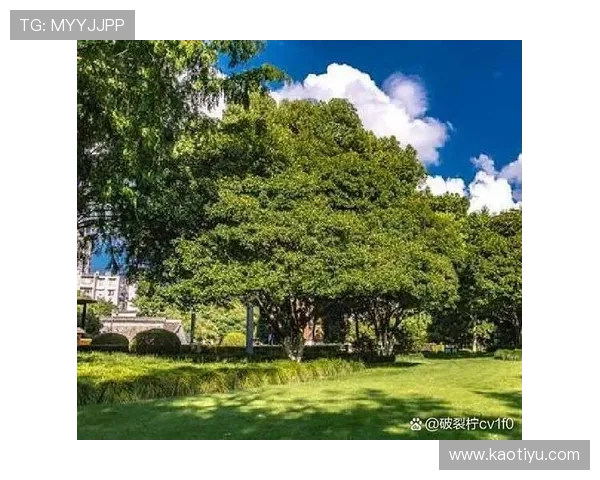 滨崎里续：探寻都市喧嚣中的诗意栖居