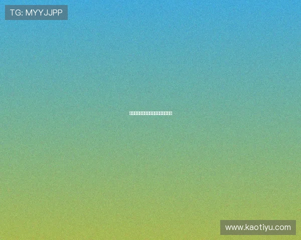 印度：一曲繁华与代价交织的绝美华章